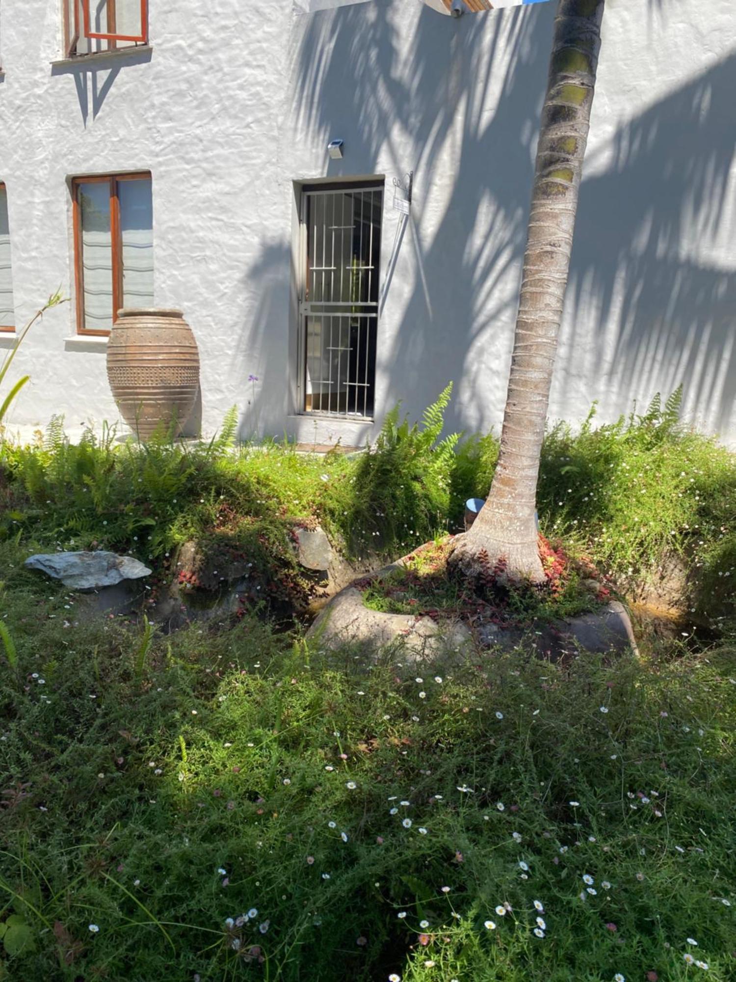Little Fern Self Catering Ξενοδοχείο George Εξωτερικό φωτογραφία